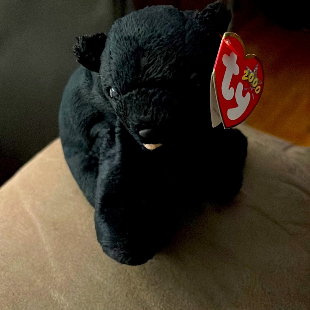 TY Beanie Baby Cinders Black Bear 2000